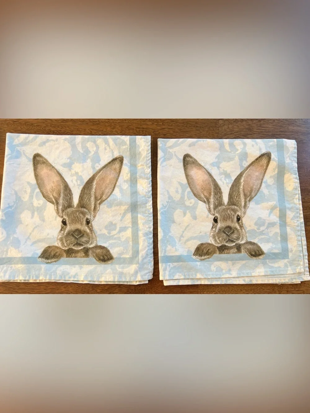 Williams Sonoma Blue and Brown Bunny Cotton Napkin Set 4 pc